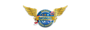 Signal